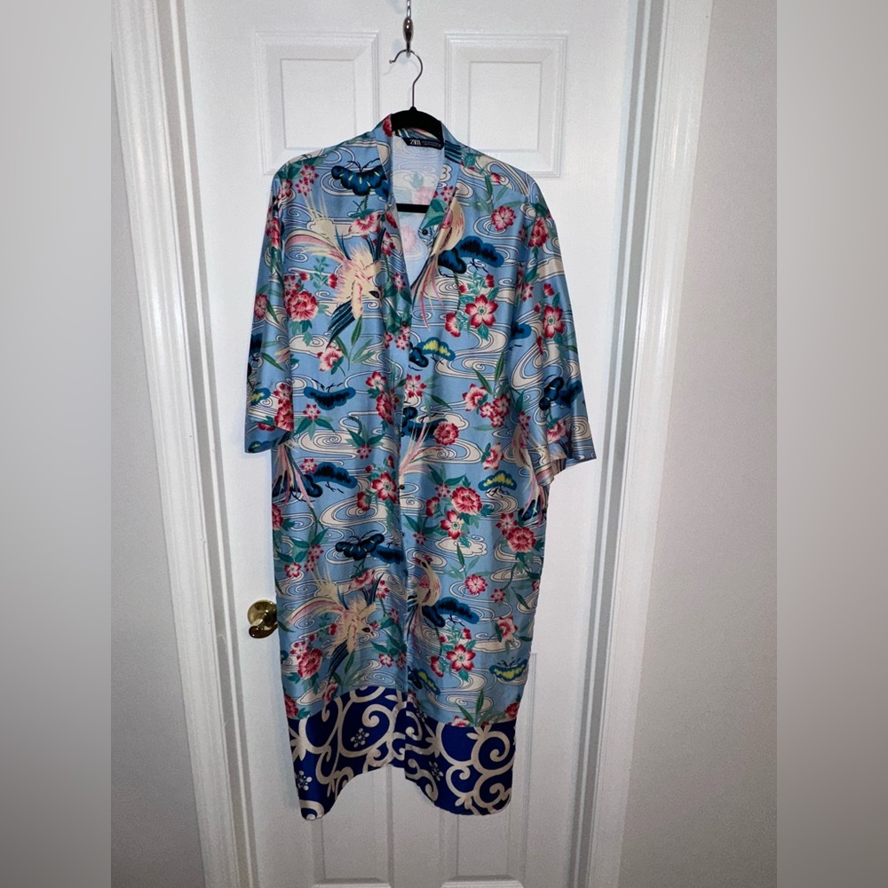 Zara dress
